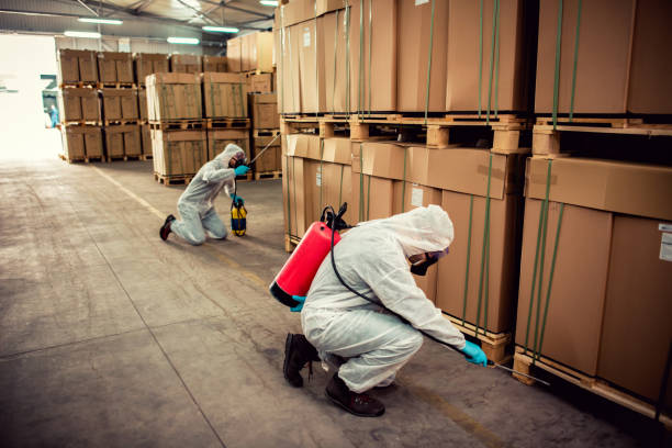 Best Bed Bug Extermination  in Uvalde Estates, TX