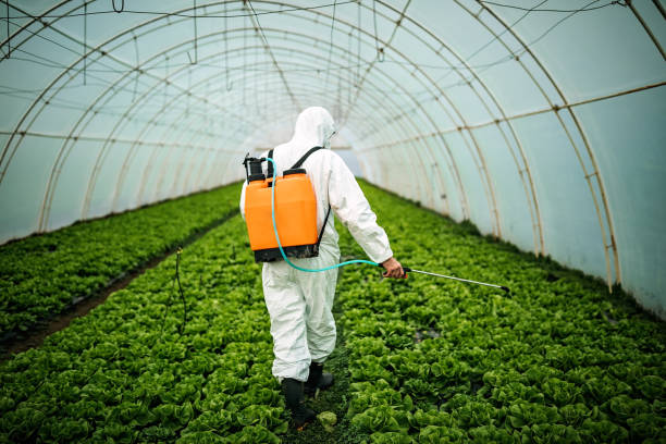 Pest Control for Restaurants in Uvalde Estates, TX