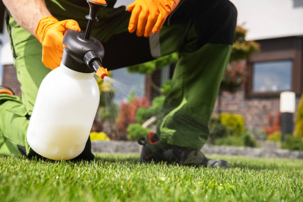 Best Pest Control Near Me in Uvalde Estates, TX