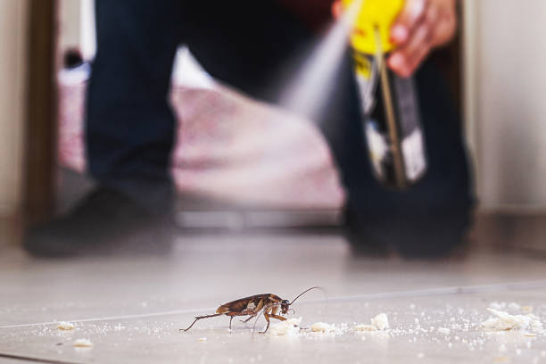 Best Best Pest Control Companies  in Uvalde Estates, TX
